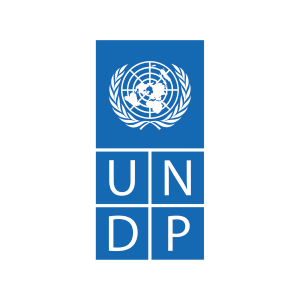 UNDP logo