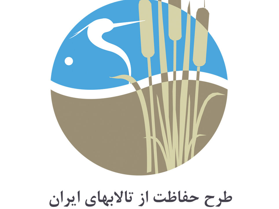 Logo with Back