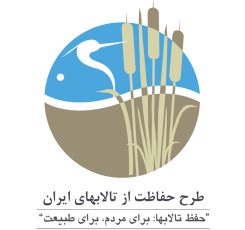 Logo with Back