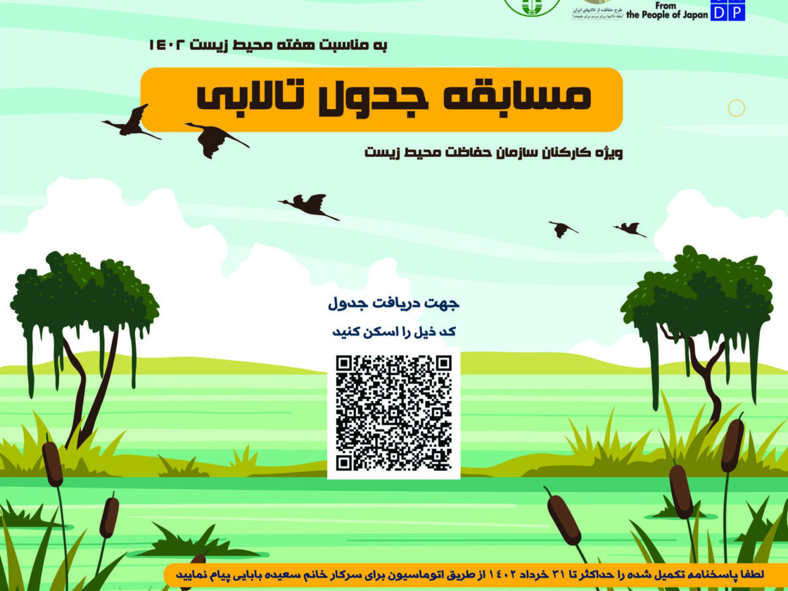 6763690 copy
