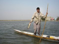 Shadegan