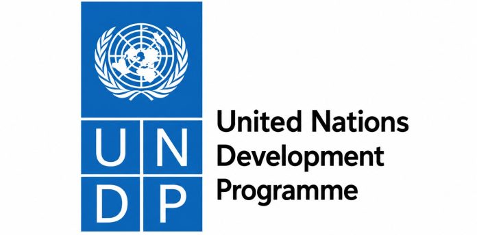 undp